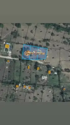 Три съседни парцела с обща площ от 1172кв.м.